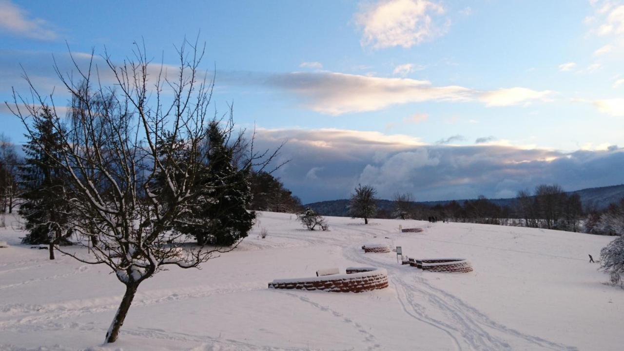 Hotel Landgasthof Oberschnorrhof Dammbach Esterno foto