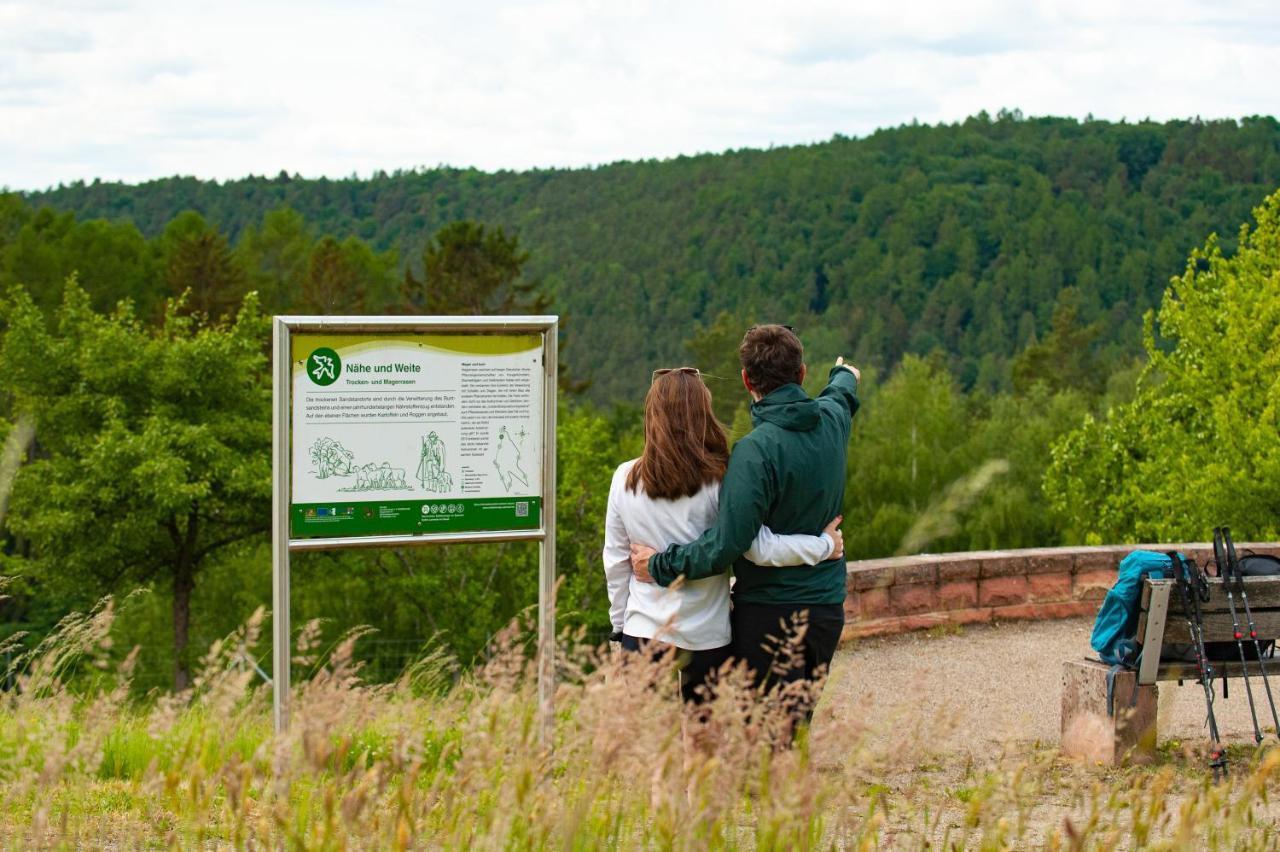 Hotel Landgasthof Oberschnorrhof Dammbach Esterno foto