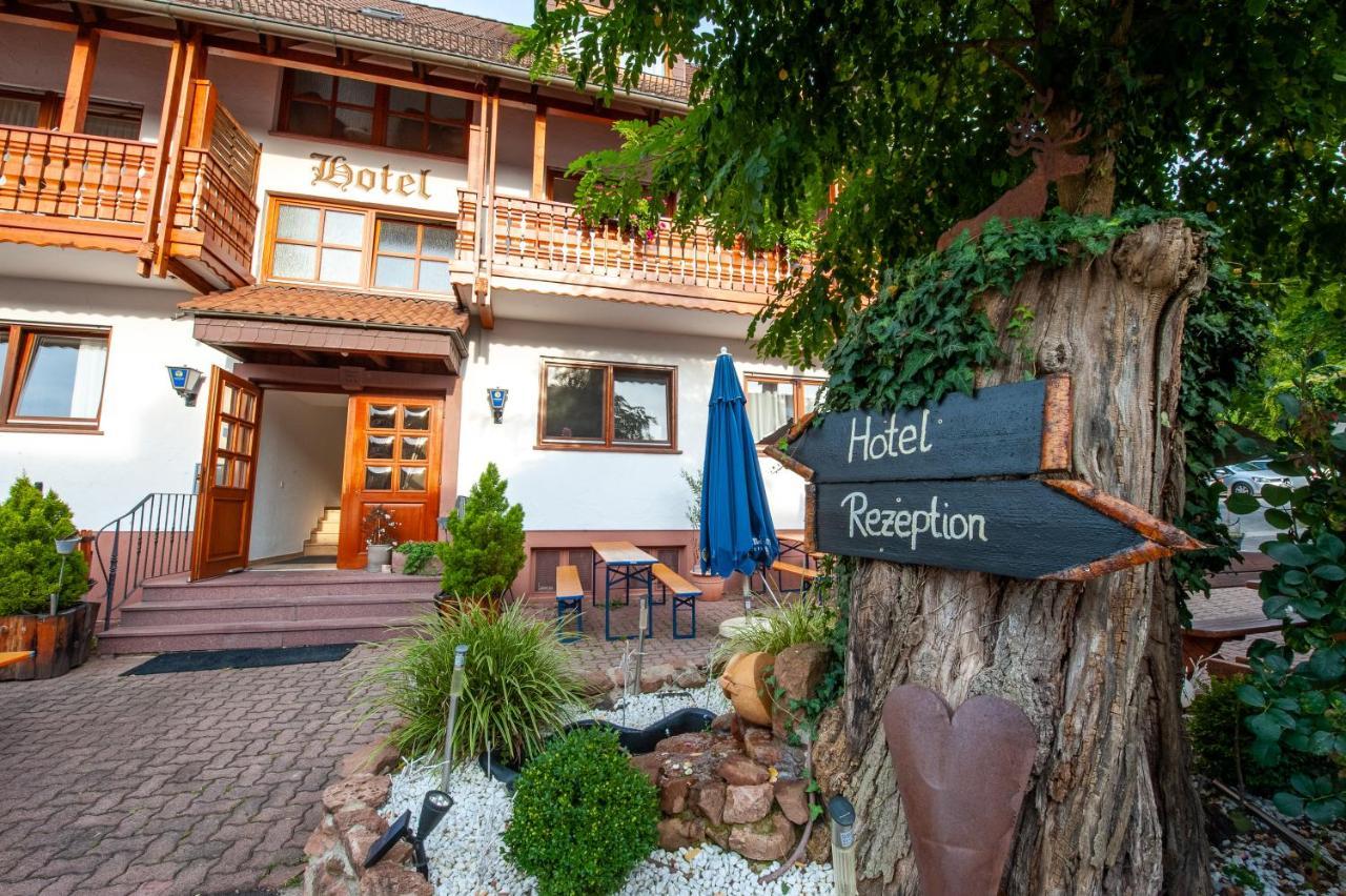 Hotel Landgasthof Oberschnorrhof Dammbach Esterno foto